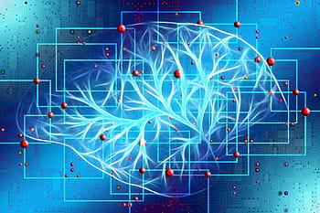 Gathering network intelligence